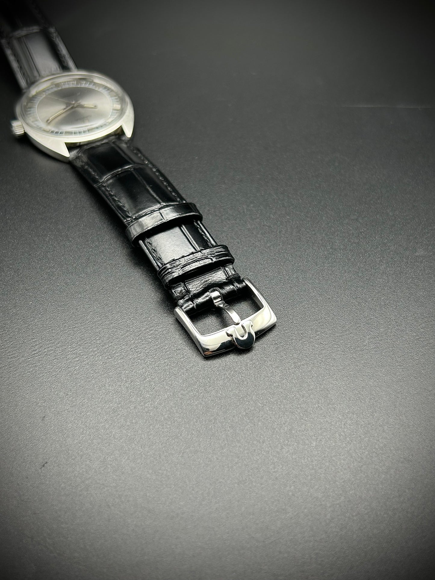 Omega Seamaster Cosmic