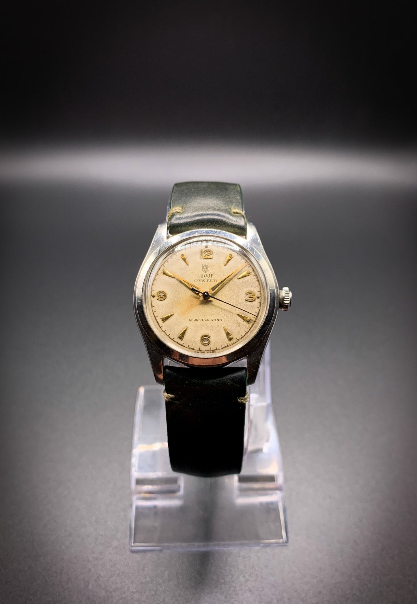 Tudor Oyster Rose in Shield