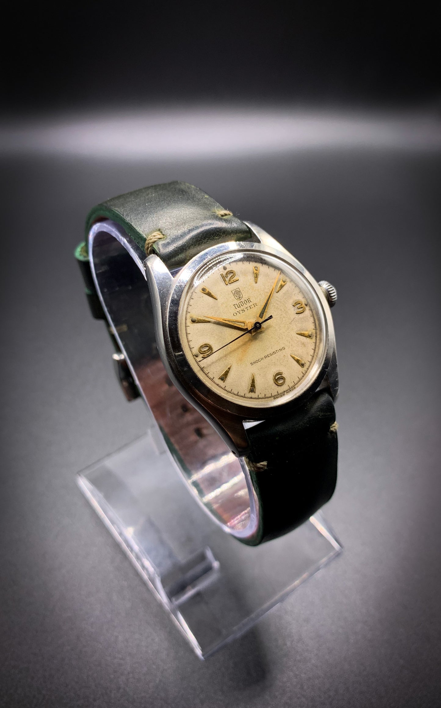 Tudor Oyster Rose in Shield
