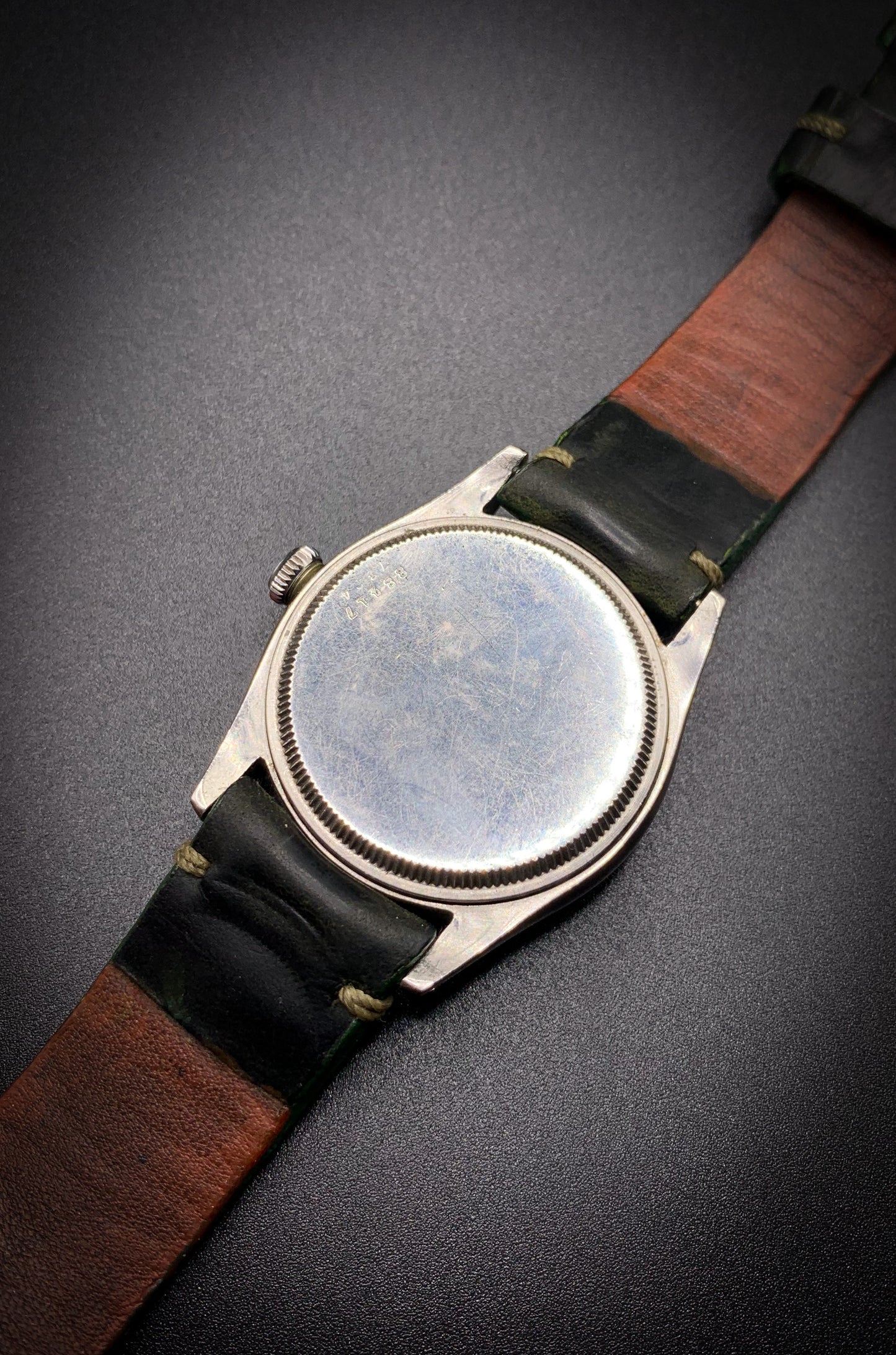 Tudor Oyster Rose in Shield