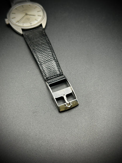 Omega Seamaster Cosmic