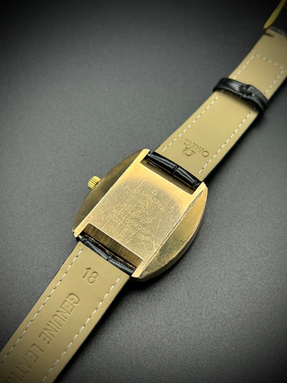 Omega Seamaster Cosmic