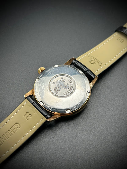 Omega Seamaster