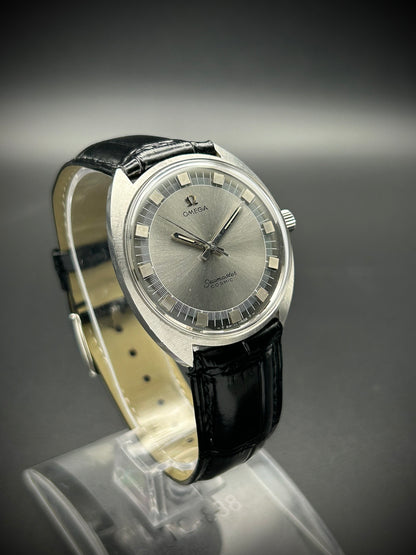 Omega Seamaster Cosmic