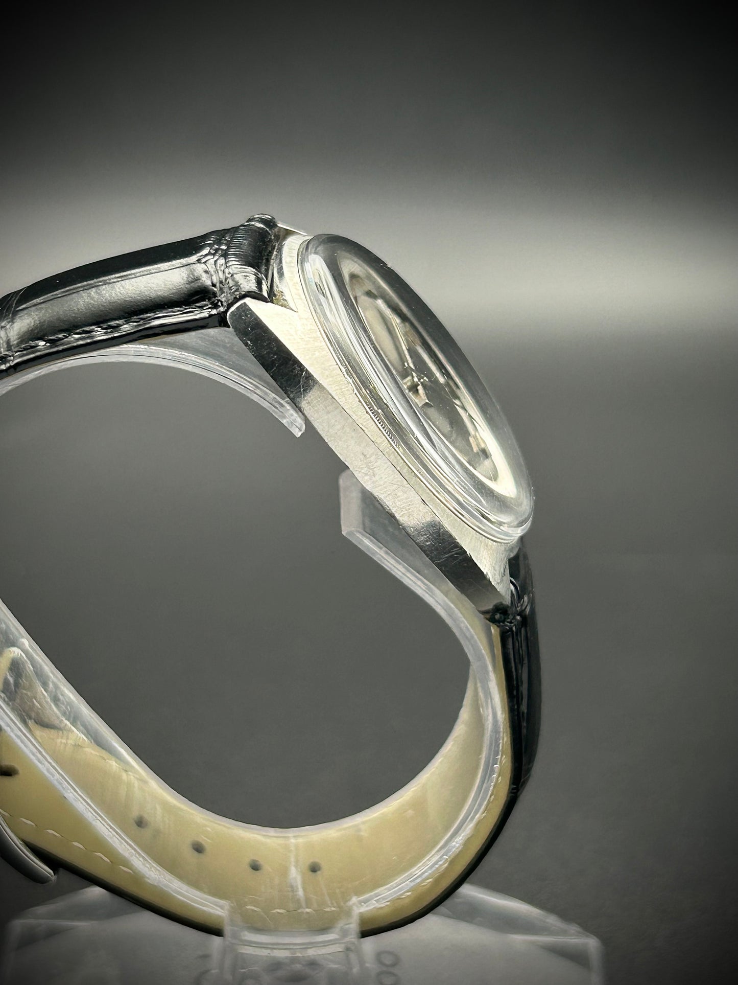 Omega Seamaster Cosmic