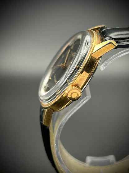 Omega Seamaster
