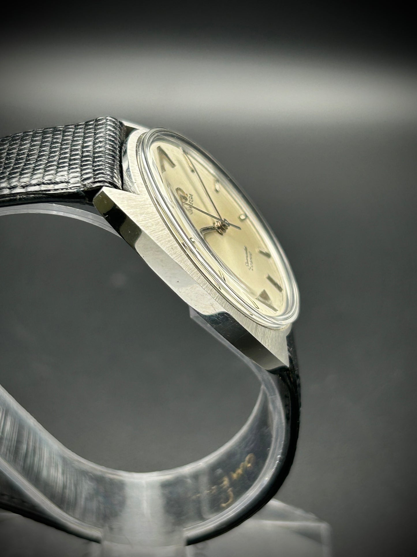 Omega Seamaster Cosmic