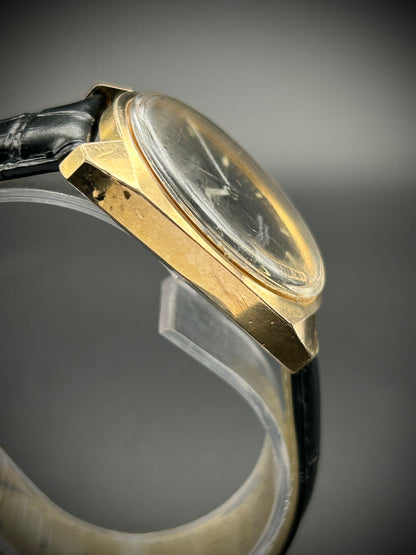 Omega Seamaster Cosmic