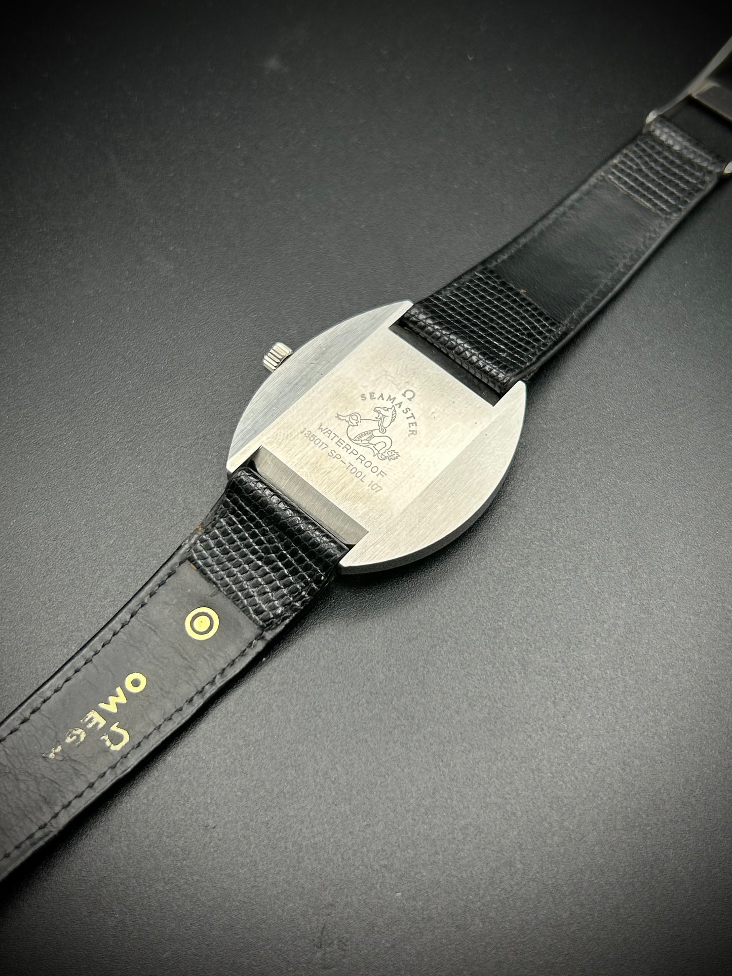 Omega Seamaster Cosmic