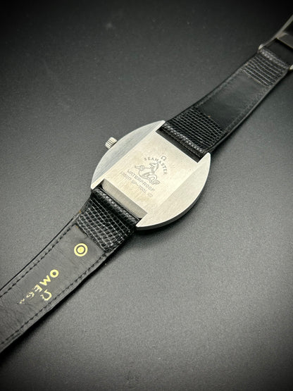 Omega Seamaster Cosmic