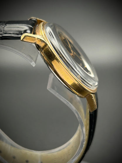 Omega Seamaster