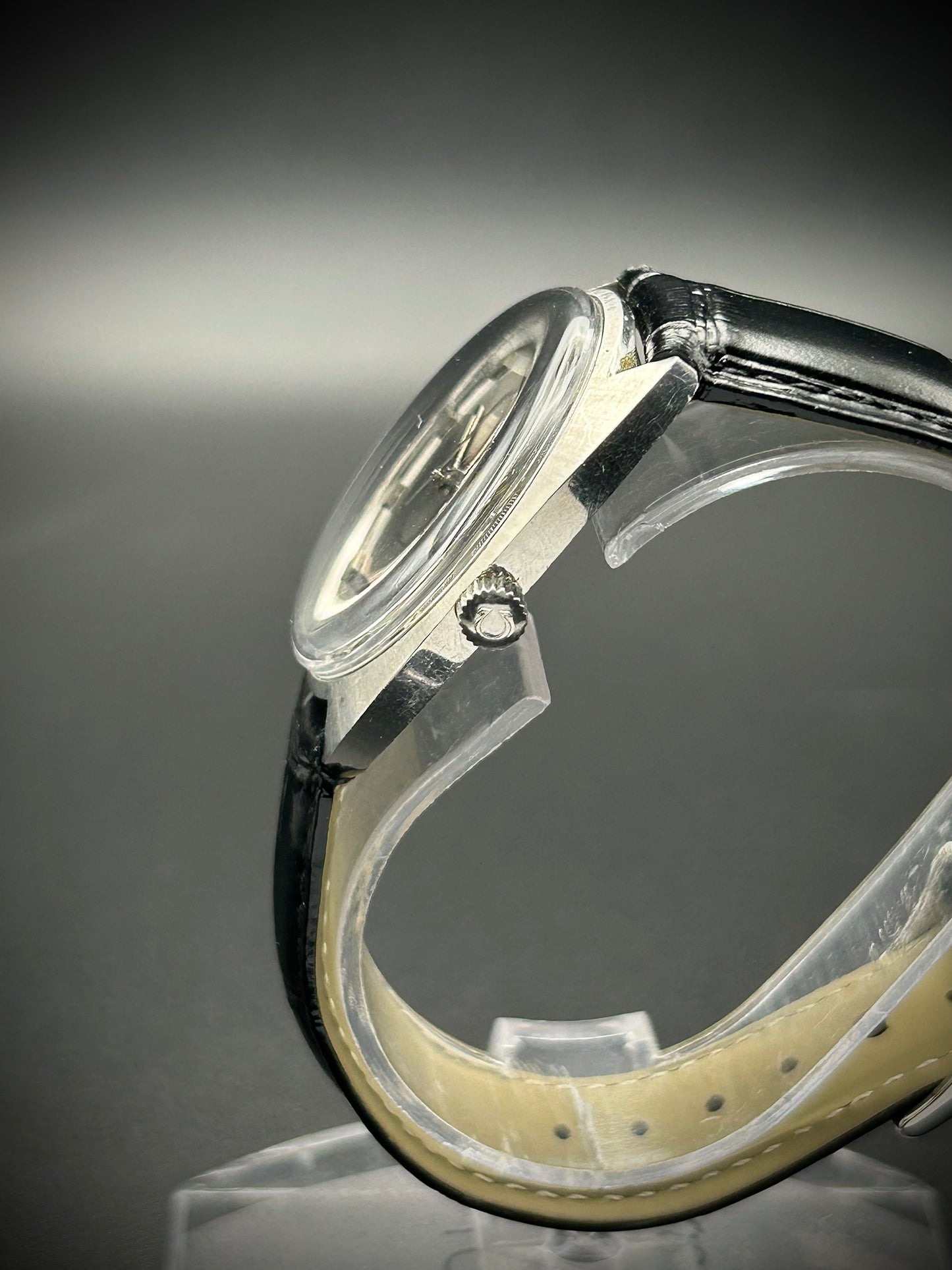 Omega Seamaster Cosmic