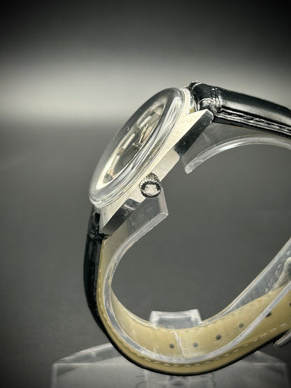Omega Seamaster Cosmic