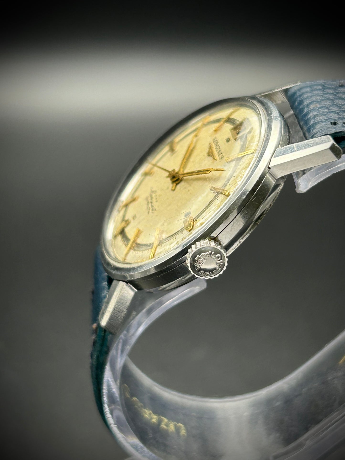 Longines Conquest Automatic Tropical Dial