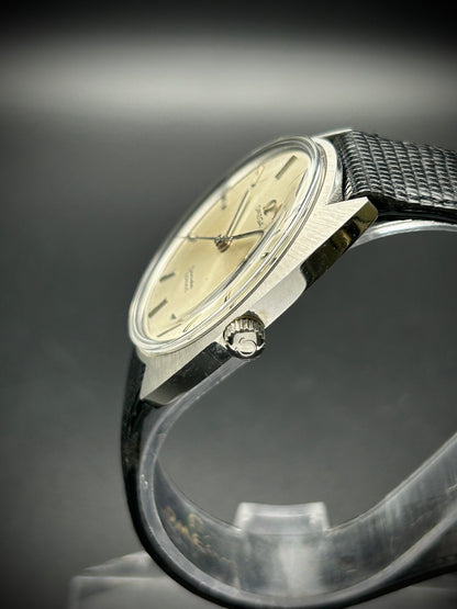 Omega Seamaster Cosmic