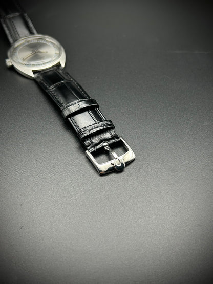 Omega Seamaster Cosmic
