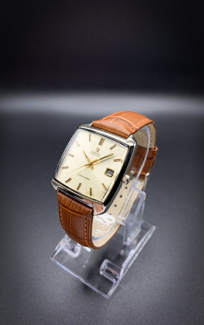 Omega Seamaster Compressor 166.042