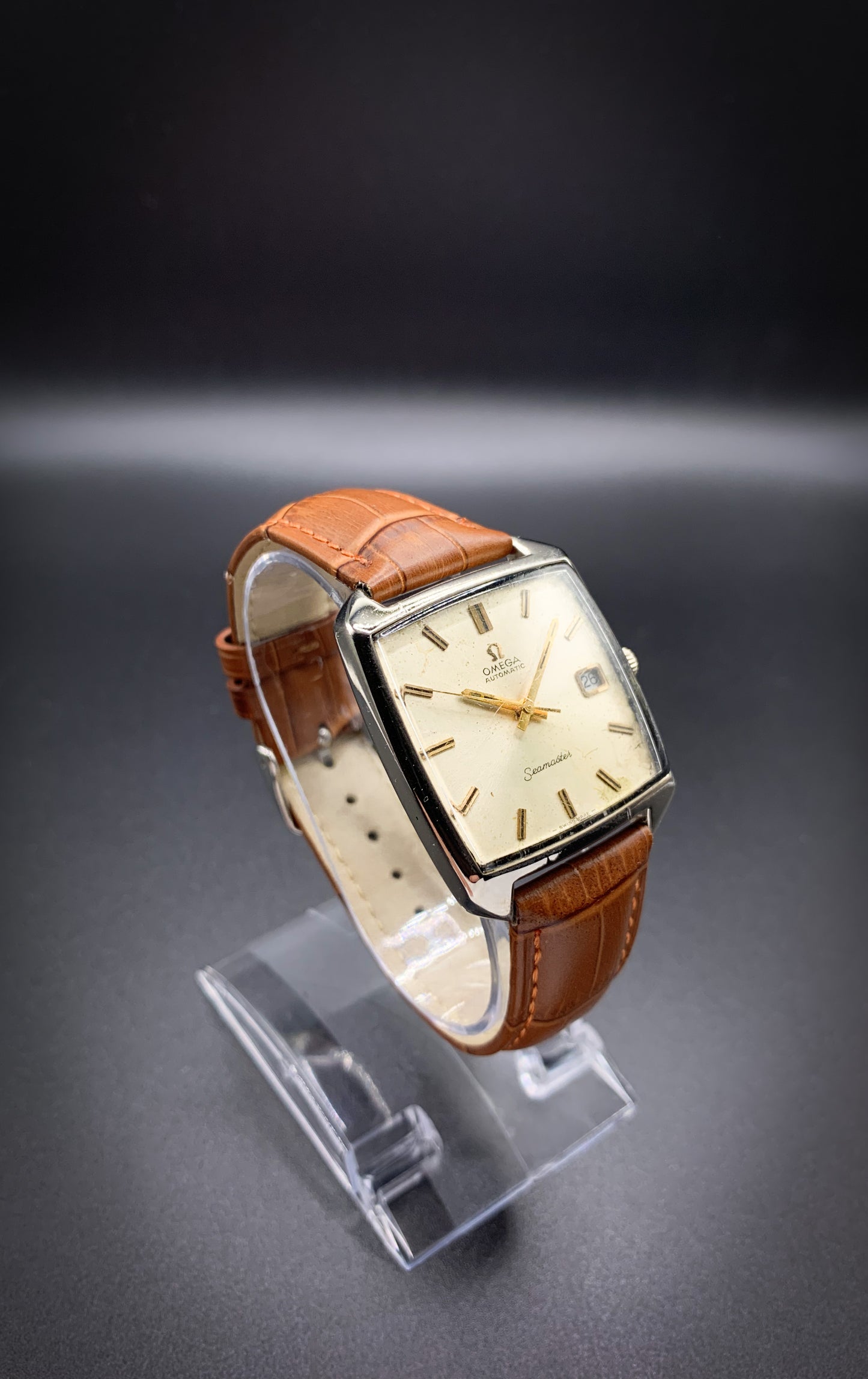 Omega Seamaster Compressor 166.042